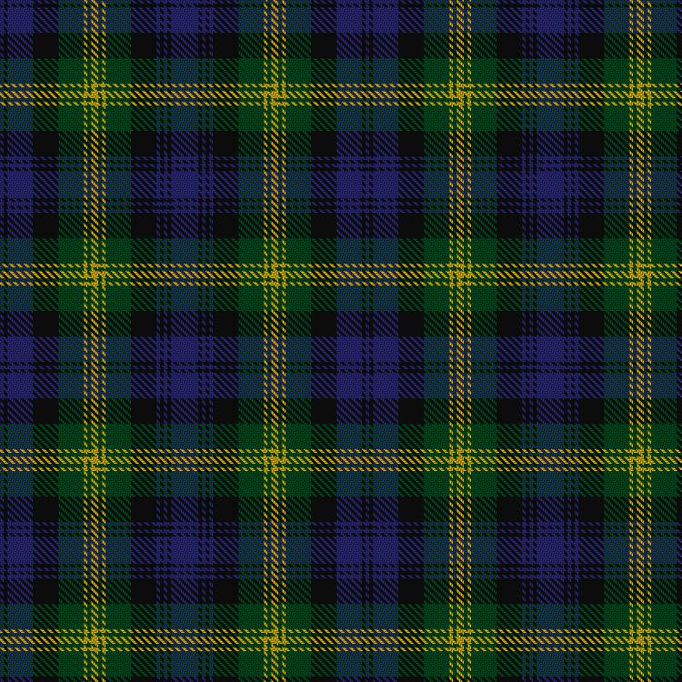 Gordon of Esslemont Tartan. Has horizontal and vertical stripes very similar to the 92nd Regimental version with 3 thin yellow stripes instead of 1.